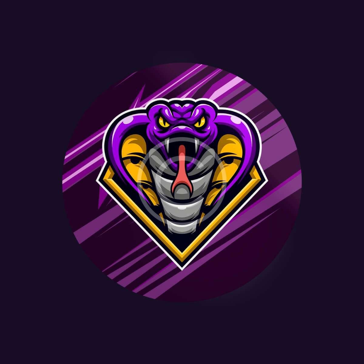 Team logo pin